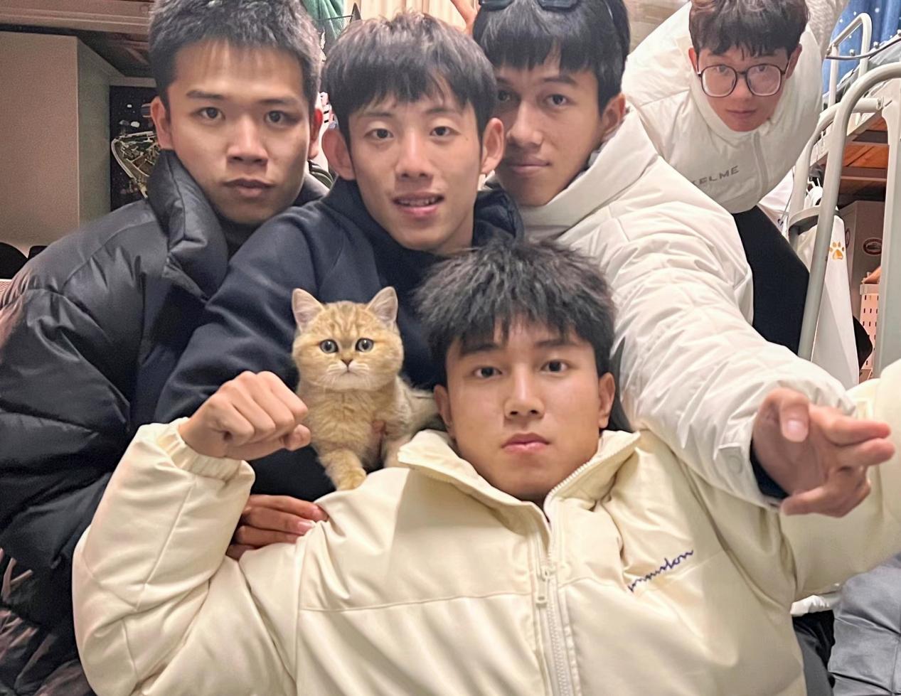 扎金花游戏